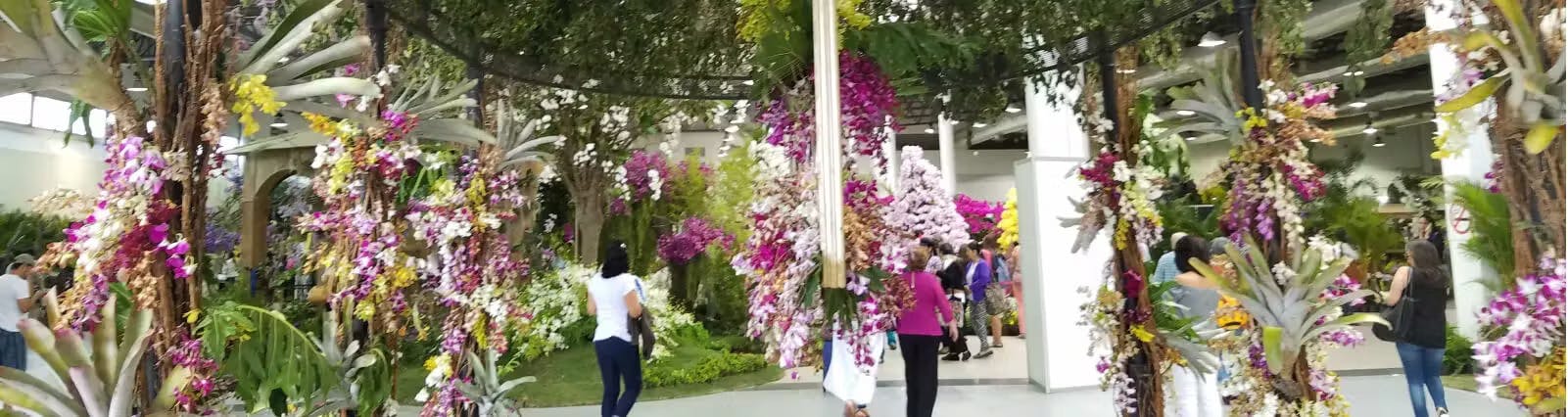 More Community Organizations