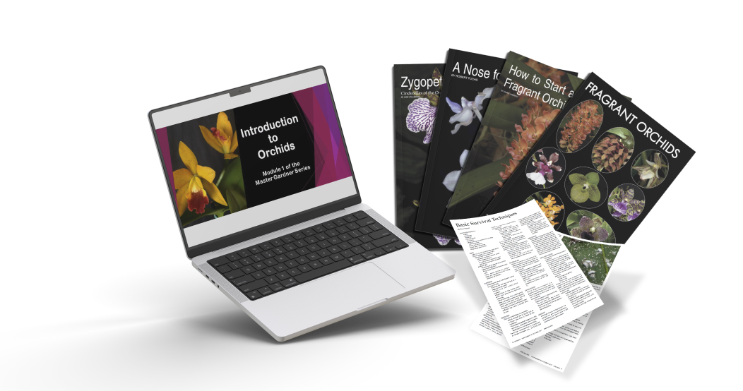 Sitewide banner image